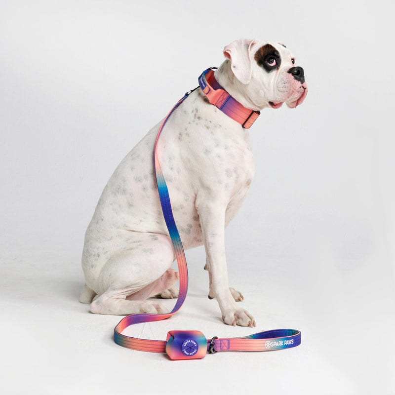 戦術的な犬用首輪セット - 万華鏡 (2"/5cm)