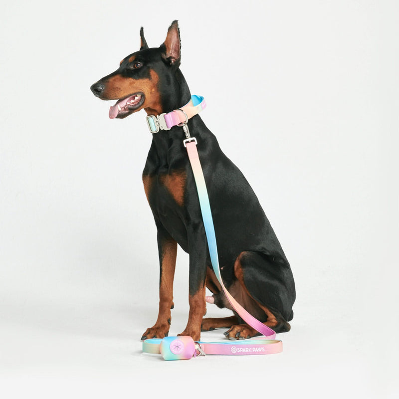 戦術的な犬用首輪セット - マルチカラー (1.5"/4cm)