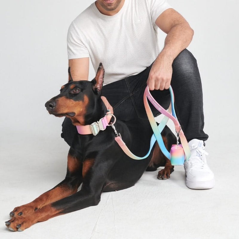 戦術的な犬用首輪 - パステルアイシング (1.5"/4cm)