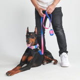 戦術的な犬用首輪 - スノーコーン (1.5"/4cm)