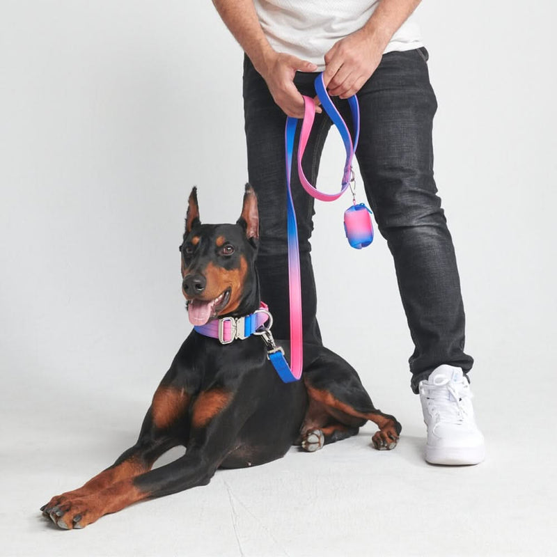 戦術的な犬用首輪 - スノーコーン (1.5"/4cm)