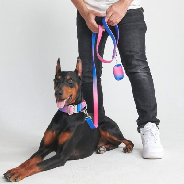 戦術的な犬用首輪セット - マルチカラー (1.5"/4cm)