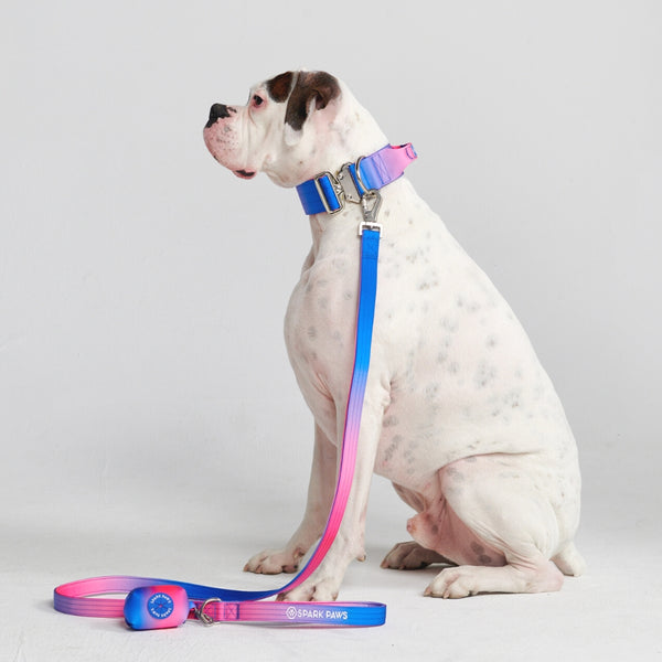 戦術的な犬用首輪セット - スノーコーン (2"/5cm)
