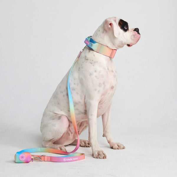 戦術的な犬用首輪セット - パステルアイシング (2"/5cm)