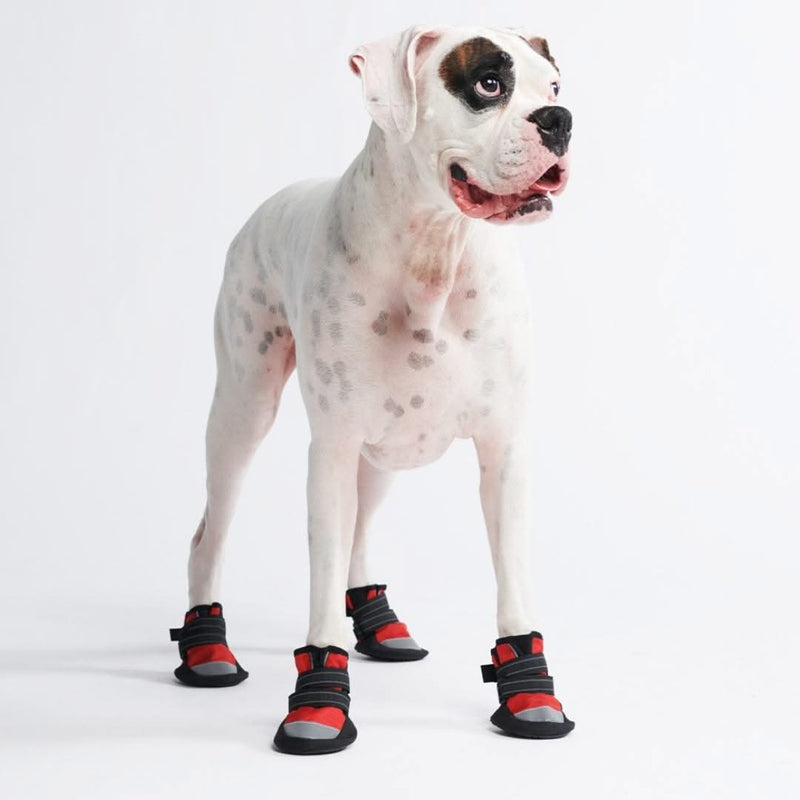 耐水性反射犬用シューズ（レッド