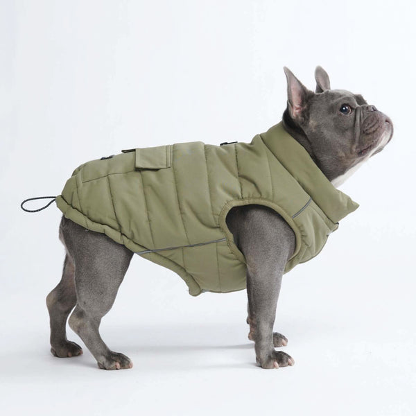 Amazon | 犬服犬 ハーネス付き 犬ジャケット 背中開き チャック