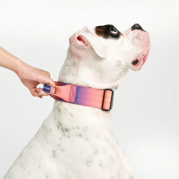 戦術的な犬の首輪 - 万華鏡 (2"/5cm)