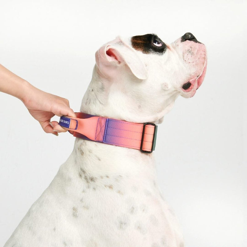 戦術的な犬の首輪 - 万華鏡 (2"/5cm)