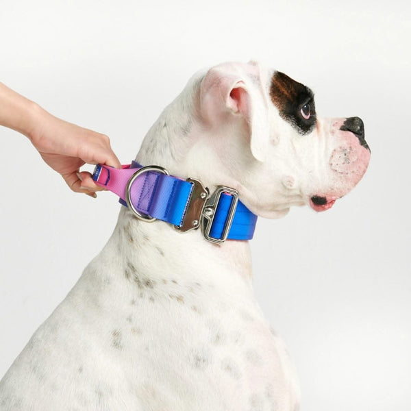 戦術的な犬の首輪 - スノーコーン (2"/5cm)