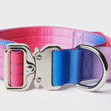 戦術的な犬用首輪 - スノーコーン (1.5"/4cm)