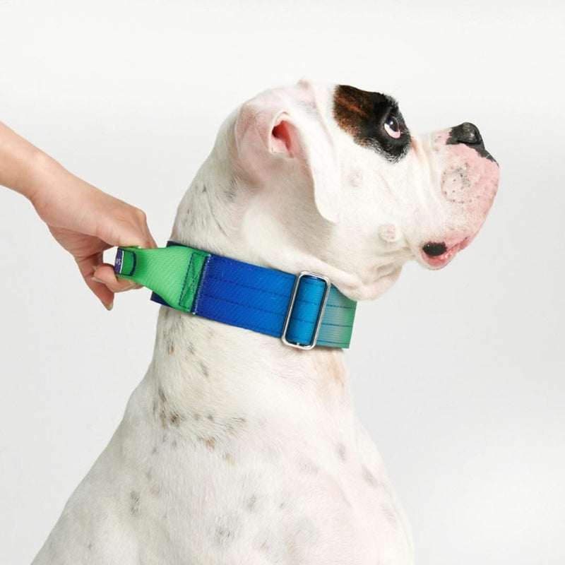 戦術的な犬用首輪 - ライムウェーブ (2"/5cm)