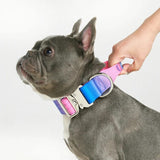 戦術的な犬用首輪 - スノーコーン (1.5"/4cm)