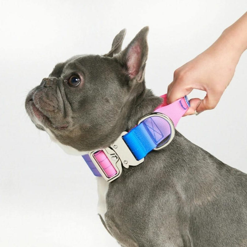 戦術的な犬用首輪 - スノーコーン (1.5"/4cm)