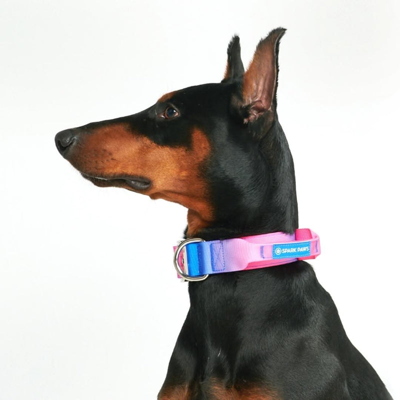 戦術的な犬用首輪 - スノーコーン (1.5"/4cm)