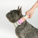 戦術的な犬用首輪 - パステルアイシング (1.5"/4cm)