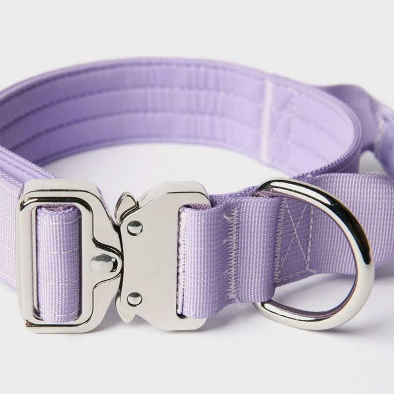 戦術的な犬用首輪セット - ライラック (1.5"/4cm)