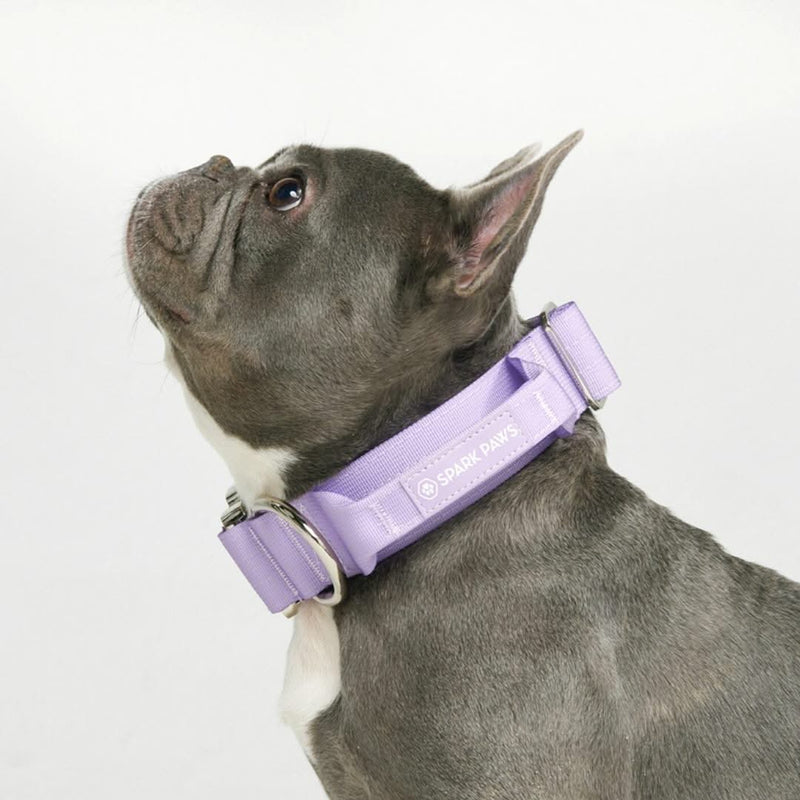 戦術的な犬用首輪 - ライラッ (1.5"/4cm)