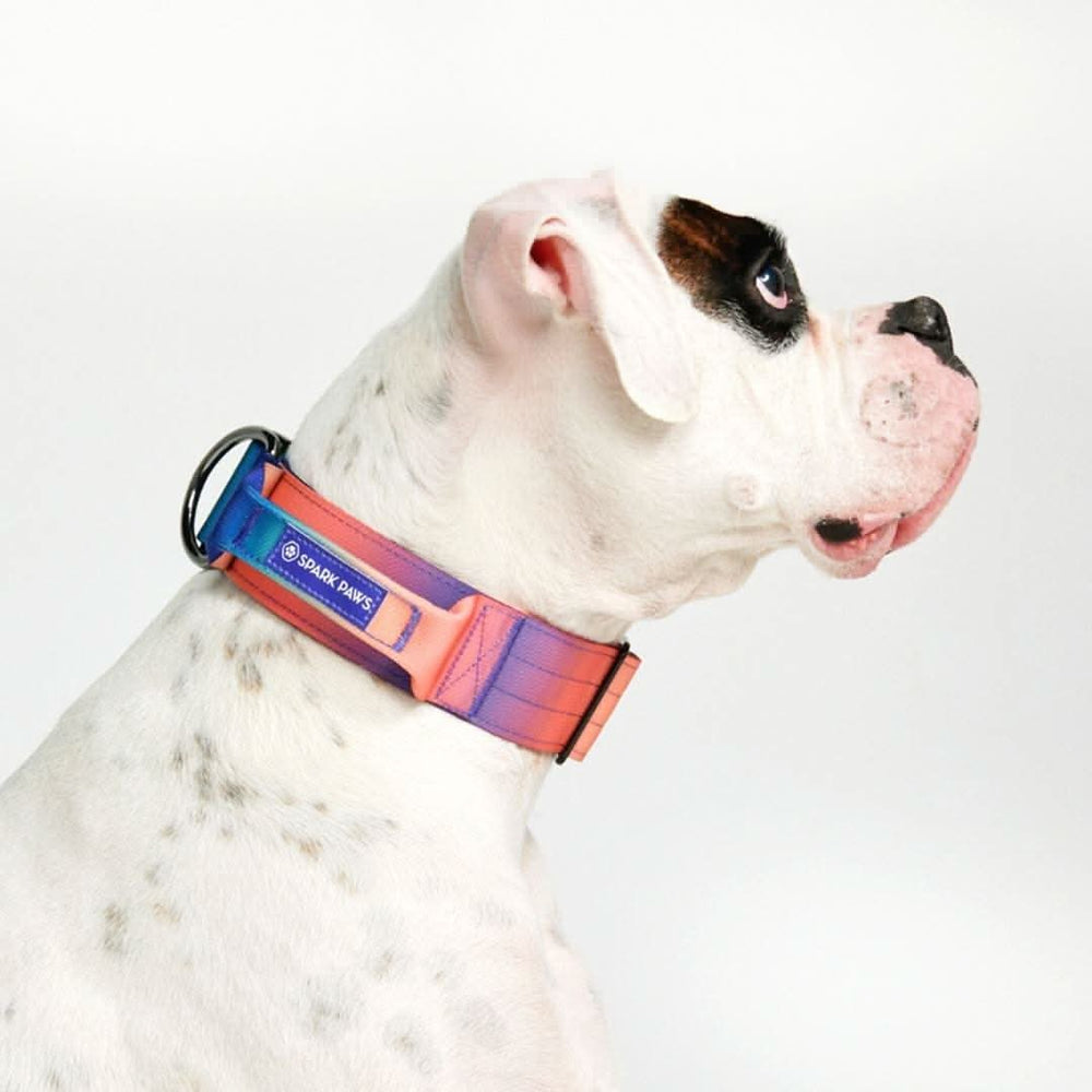 SANTA CRUZ FRESH PAWZ MESH HARNESS サンタクルーズ コラボ メッシュ 